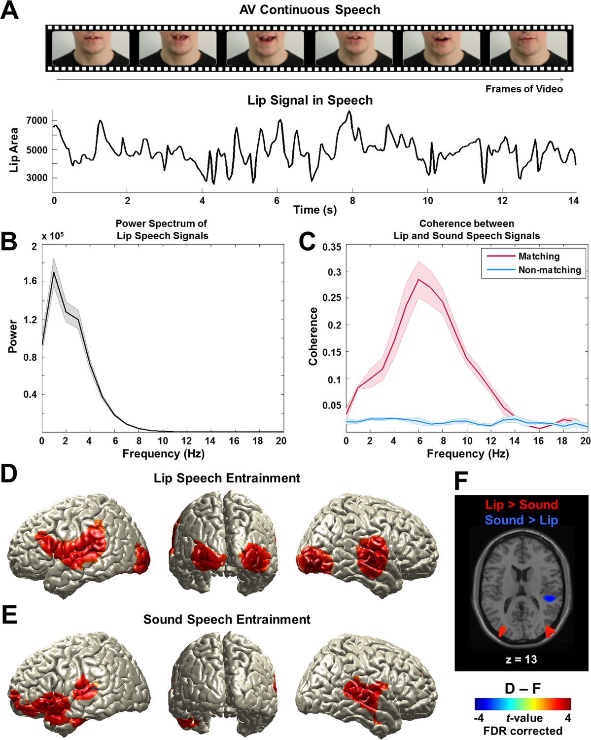 Lip movements entrain the observers’ low-frequency brain oscillations to facilitate speech intelligibility