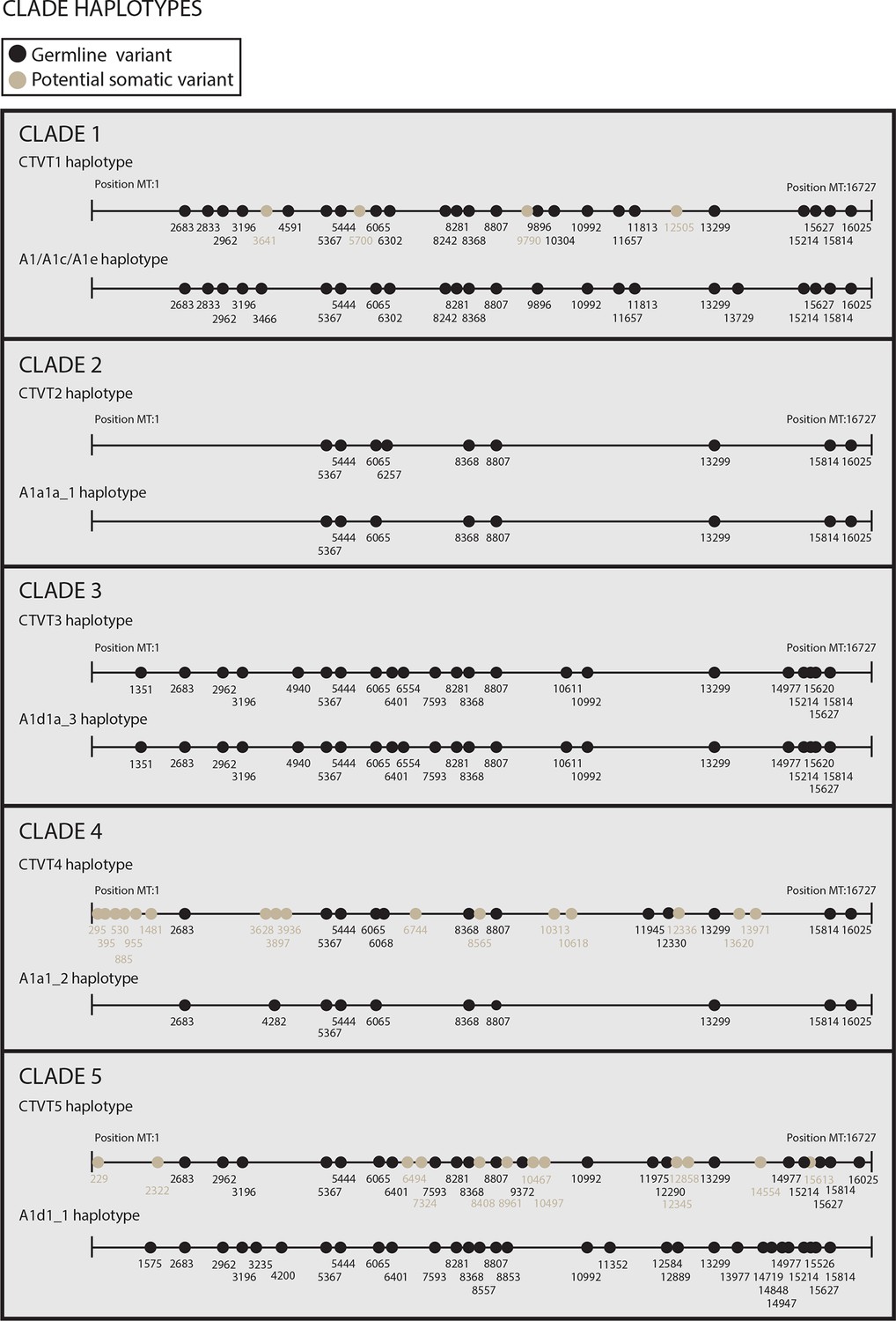 Figures and data in Mitochondrial genetic diversity, selection and ...