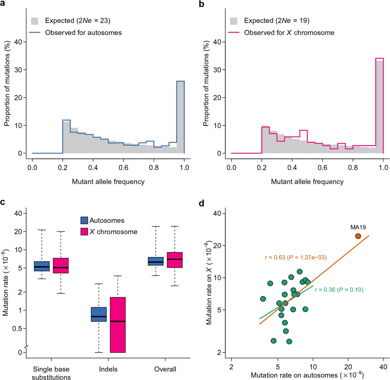 Spontaneous Mutations And The Origin And Maintenance Of Quantitative ...