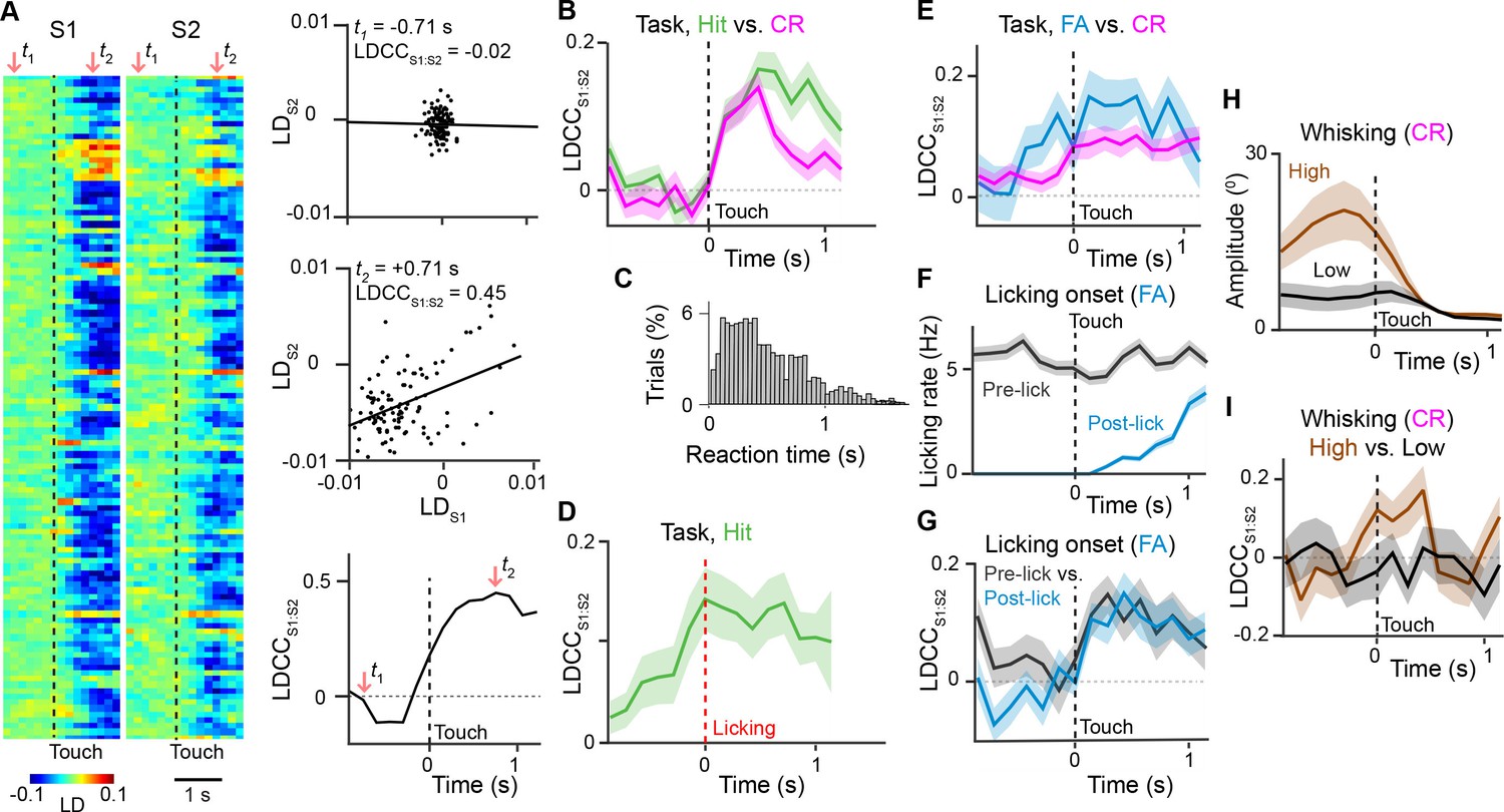 PDF) Computational Neurogenetic Modeling