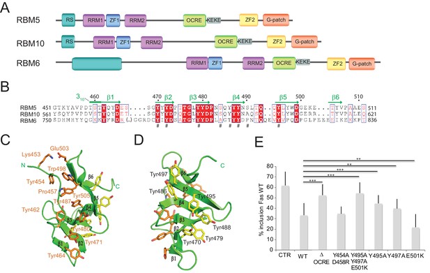 Figures And Data In Structural Basis For The Recognition Of ...