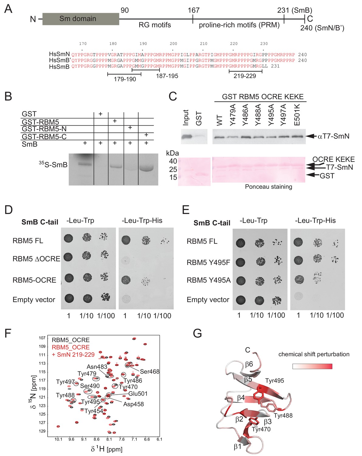 Figures And Data In Structural Basis For The Recognition Of ...