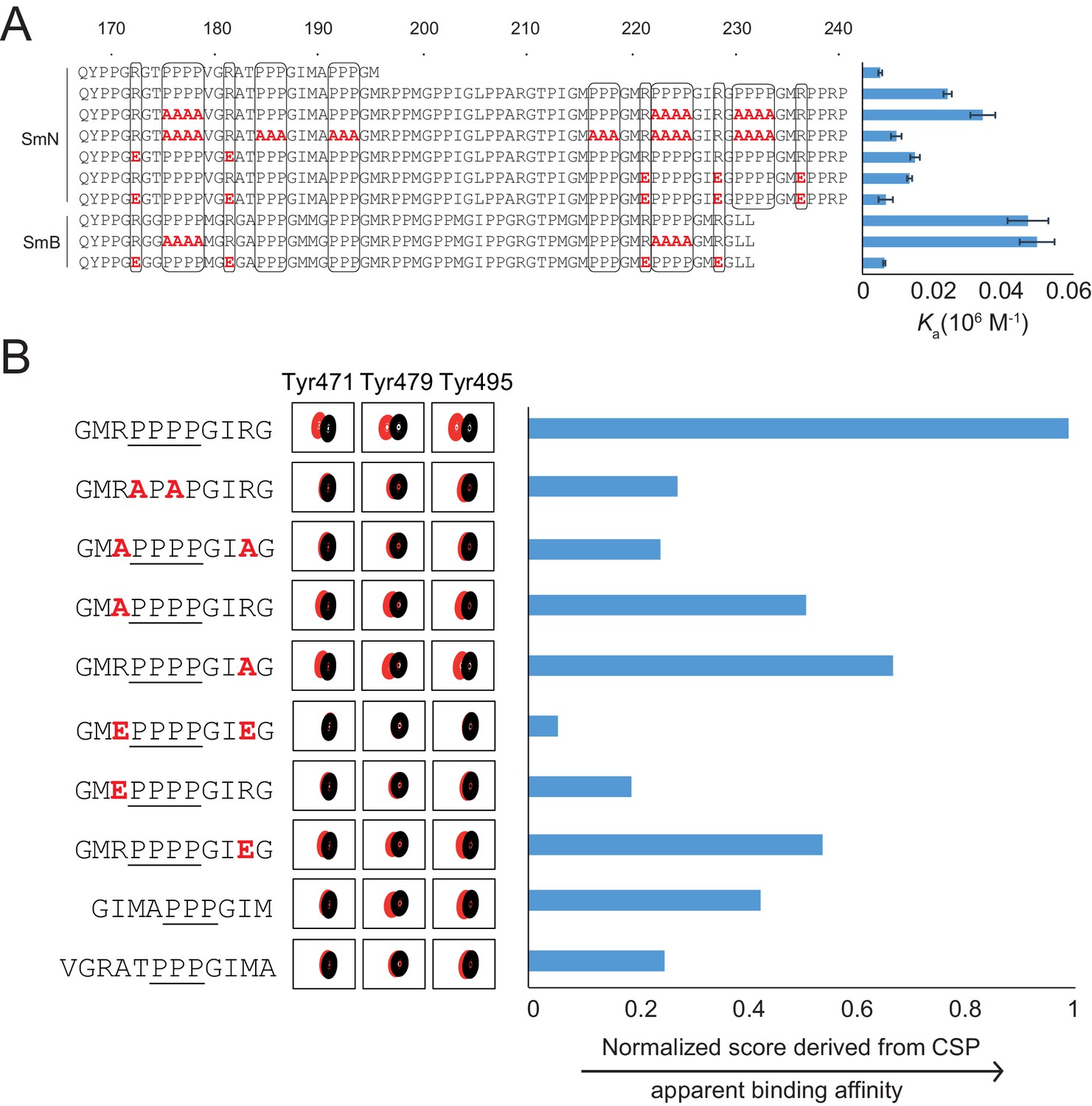 Structural Basis For The Recognition Of Spliceosomal SmN/B/B’ Proteins ...