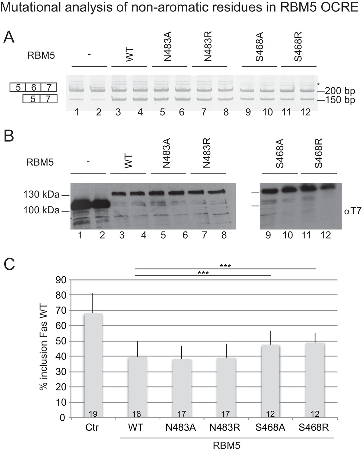 Figures And Data In Structural Basis For The Recognition Of ...