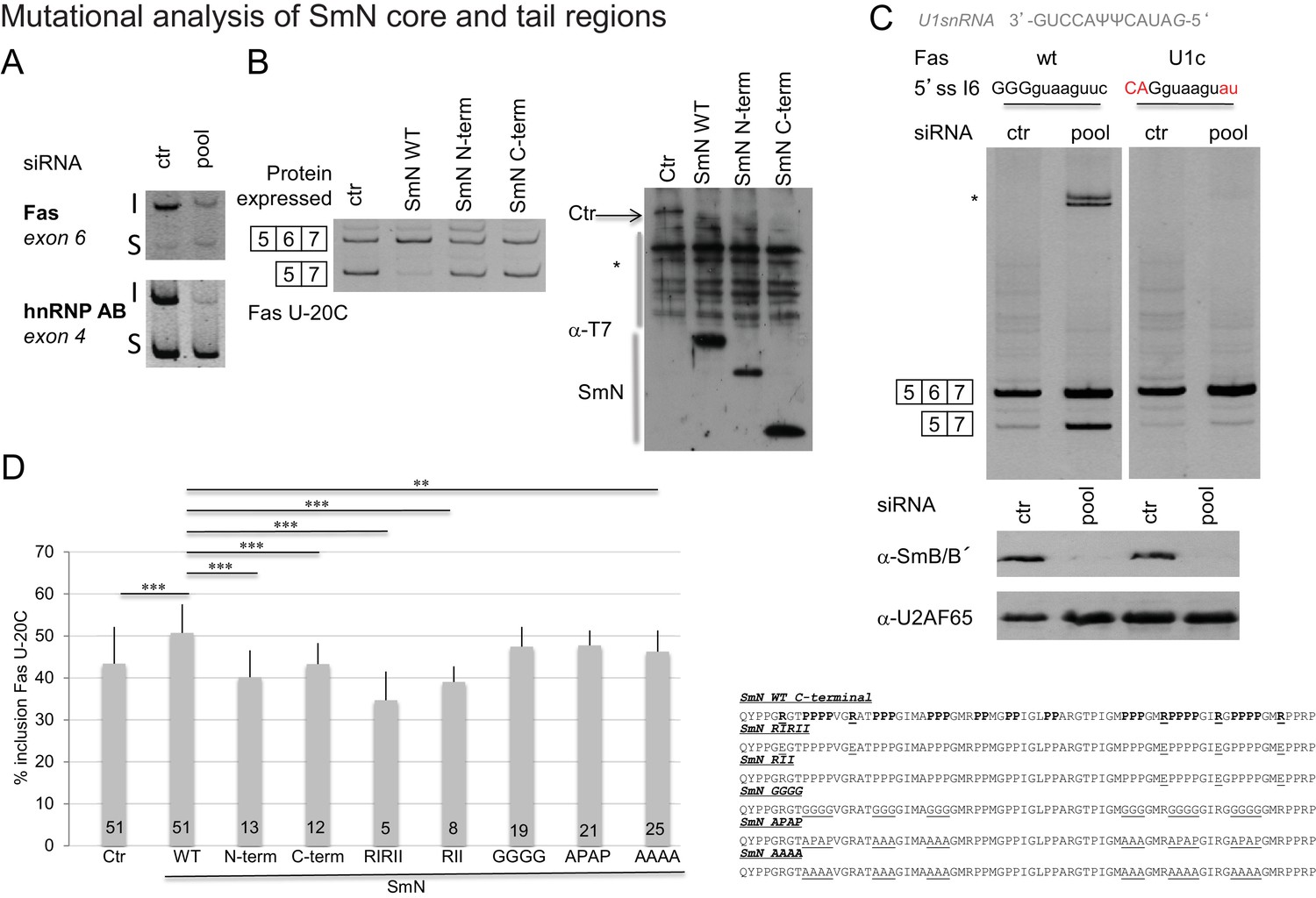 Figures And Data In Structural Basis For The Recognition Of ...