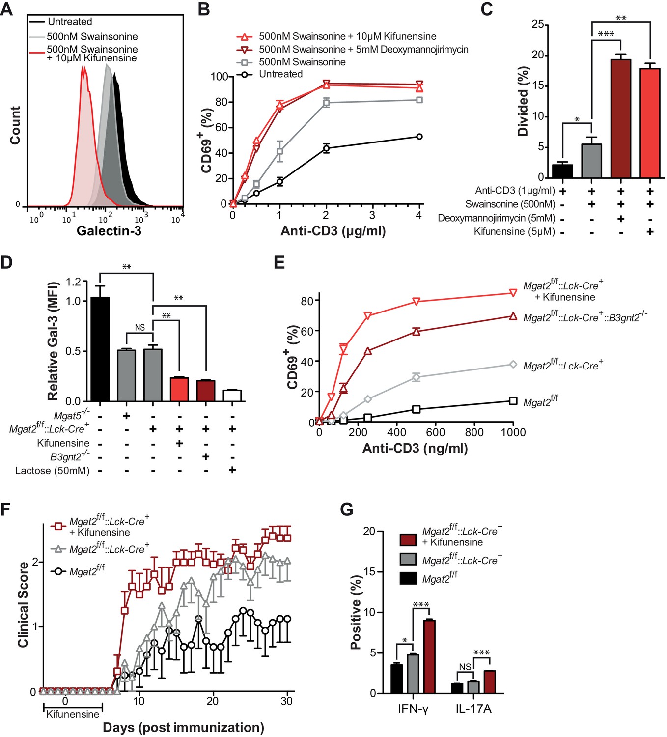 Golgi self-correction generates bioequivalent glycans to preserve ...