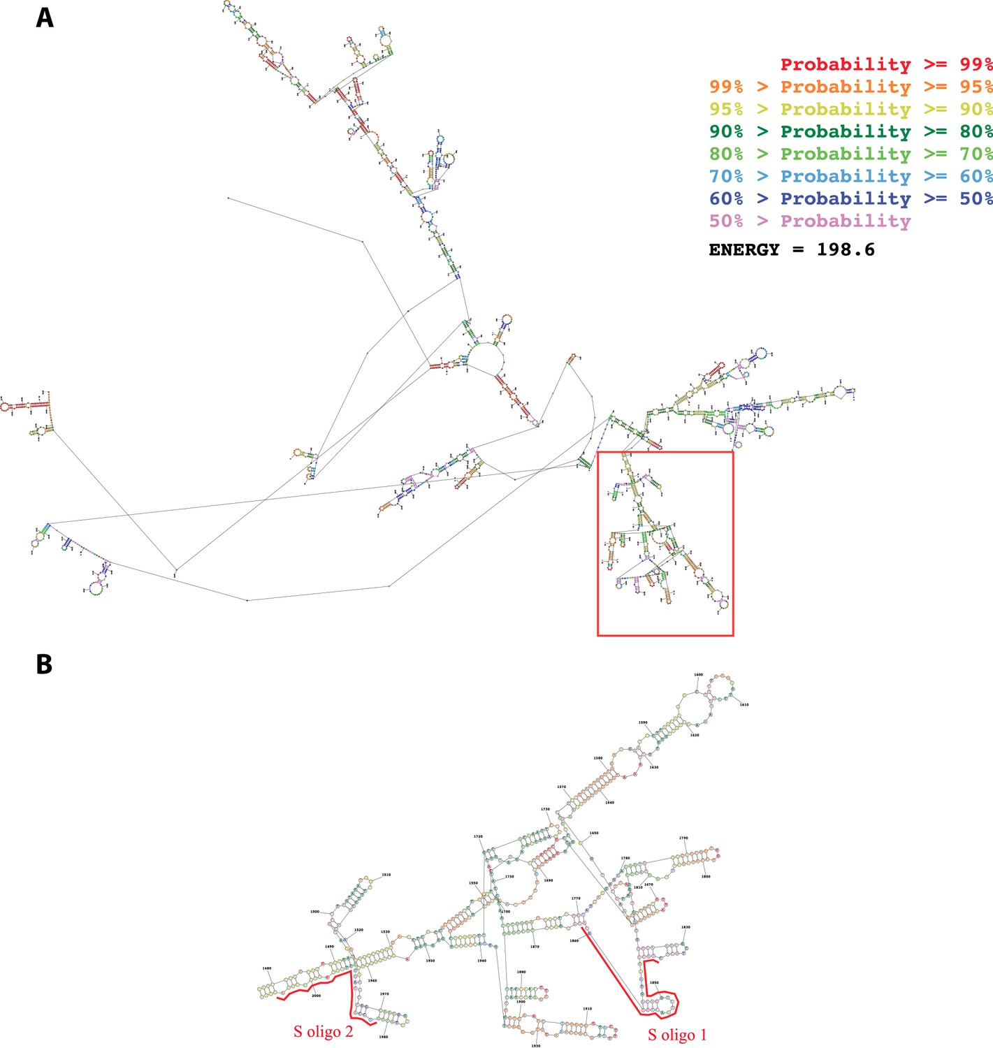 Figures and data in Circadian RNA expression elicited by 3’-UTR IRAlu ...