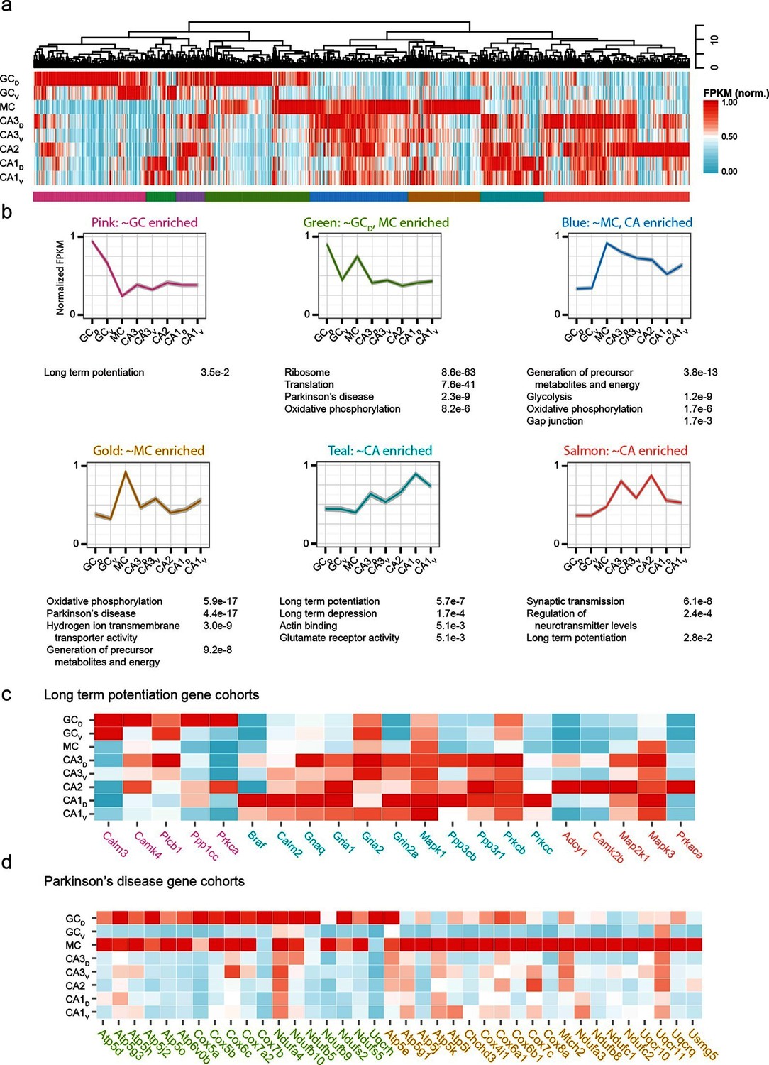 Hipposeq: a comprehensive RNA-seq database of gene expression in ...