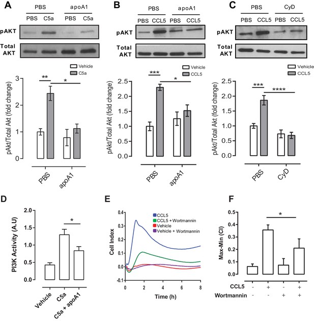 Acute exposure to apolipoprotein A1 inhibits macrophage chemotaxis in ...