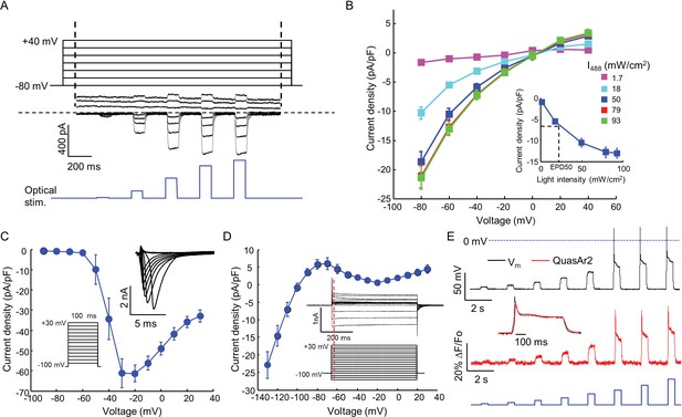 Optical electrophysiology for probing function and pharmacology of ...