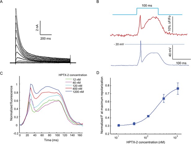 Figures And Data In Optical Electrophysiology For Probing Function And