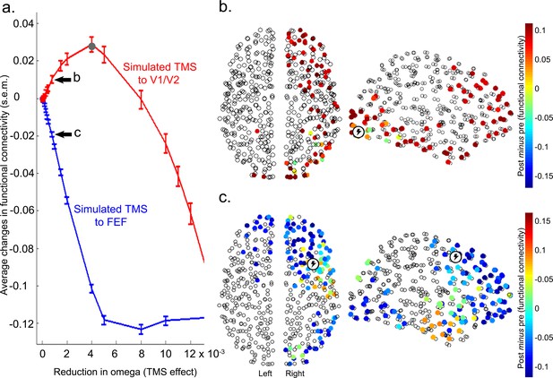 A hierarchy of timescales explains distinct effects of local inhibition ...