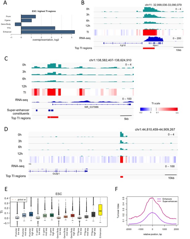 Figures and data in Enhancer regions show high histone H3.3 turnover ...