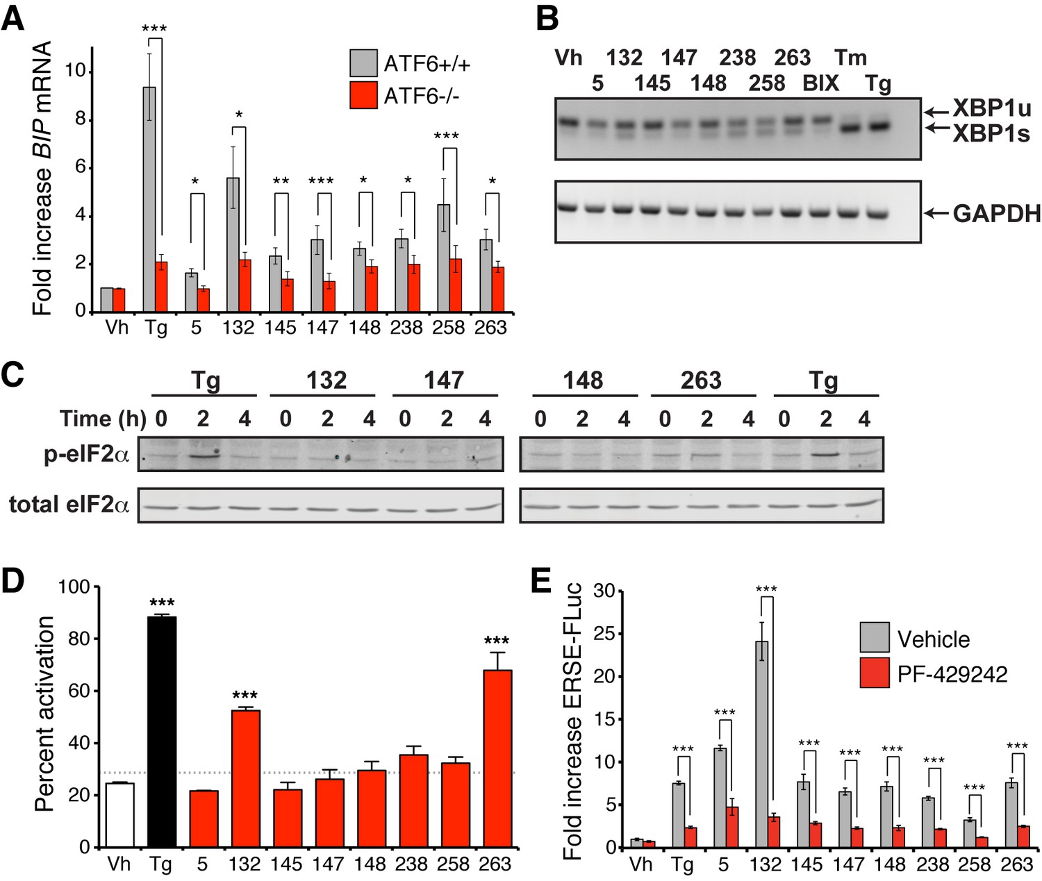 Small Molecule Proteostasis Regulators That Reprogram The ER To Reduce ...