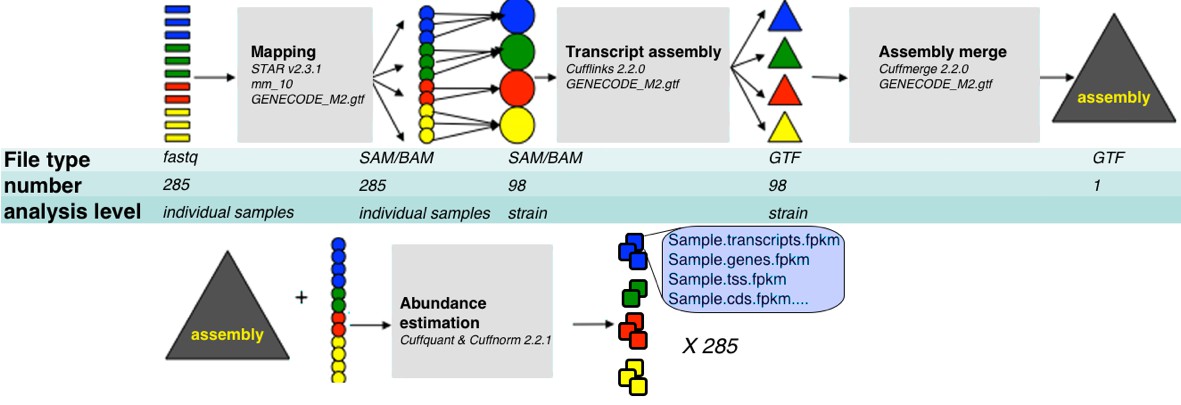 step seq asset step seq asset