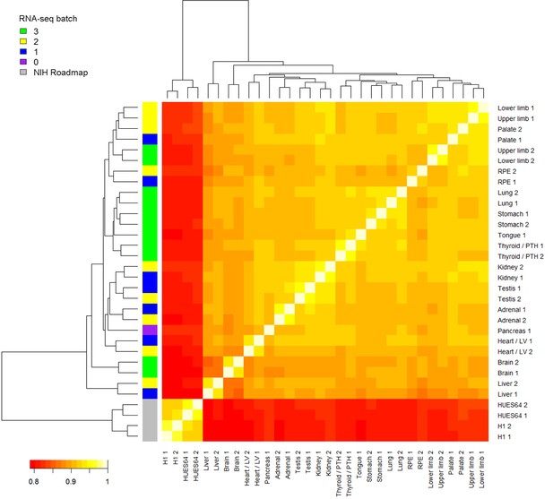 Figures and data in An integrative transcriptomic atlas of ...