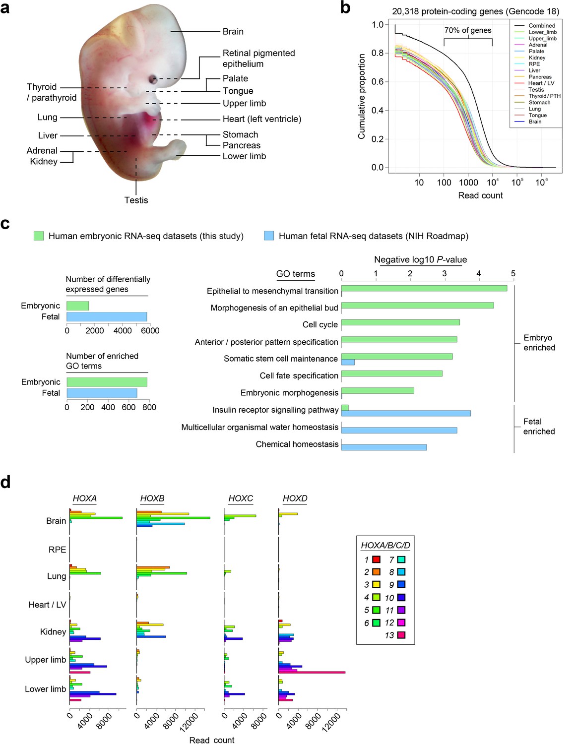 Figures and data in An integrative transcriptomic atlas of