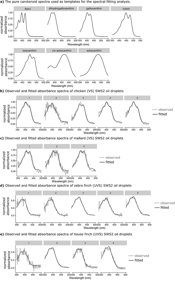 Figures and data in Complementary shifts in photoreceptor spectral ...