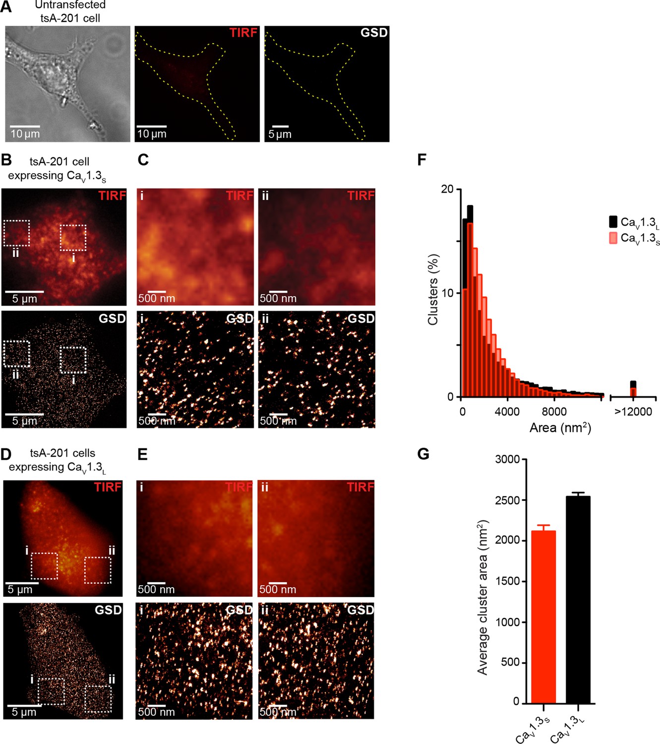 Figures And Data In Ca2 Entry Into Neurons Is Facilitated By