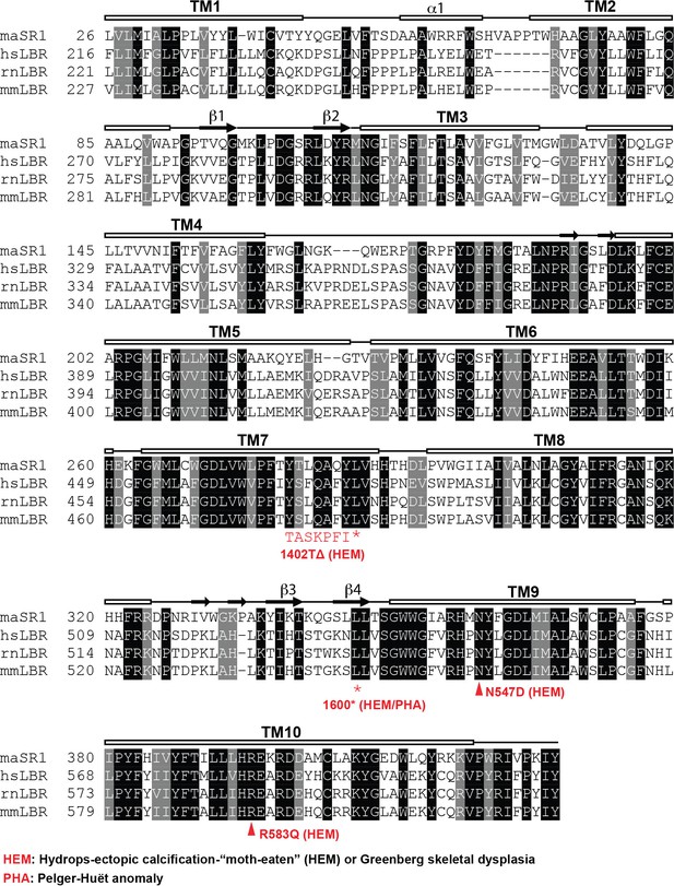 Figures And Data In The Lamin B Receptor Is Essential For Cholesterol ...