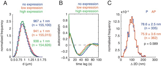 Figures and data in Human kinetochores are swivel joints that mediate ... Biology Diagrams