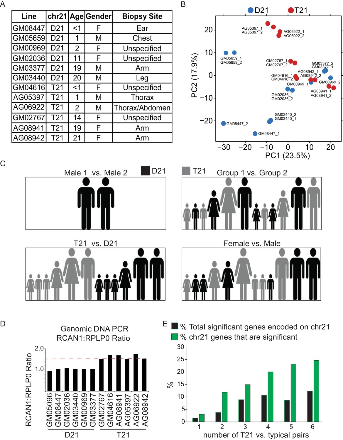 Figures and data in Trisomy 21 consistently activates the interferon