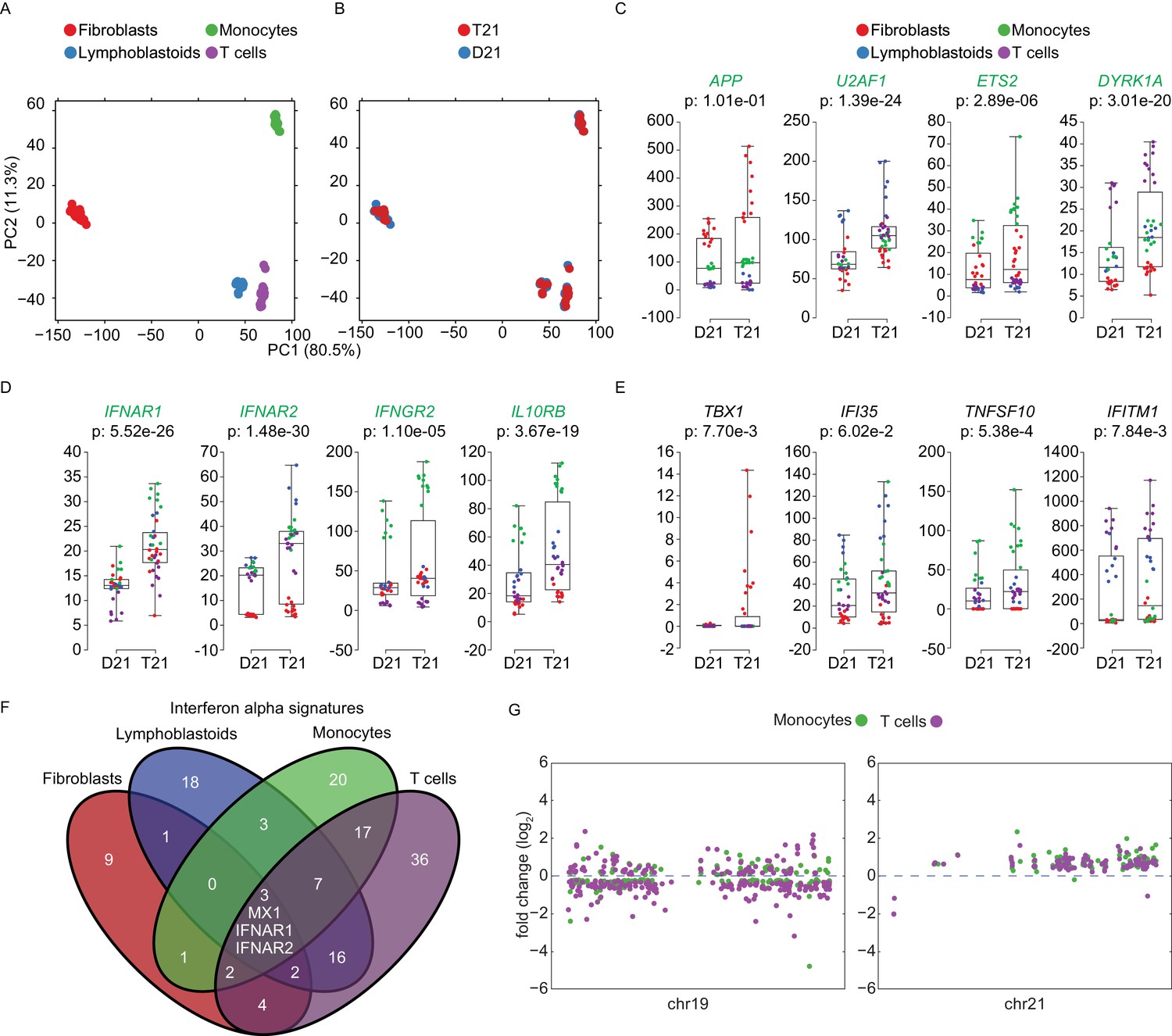 Figures And Data In Trisomy 21 Consistently Activates The Interferon ...