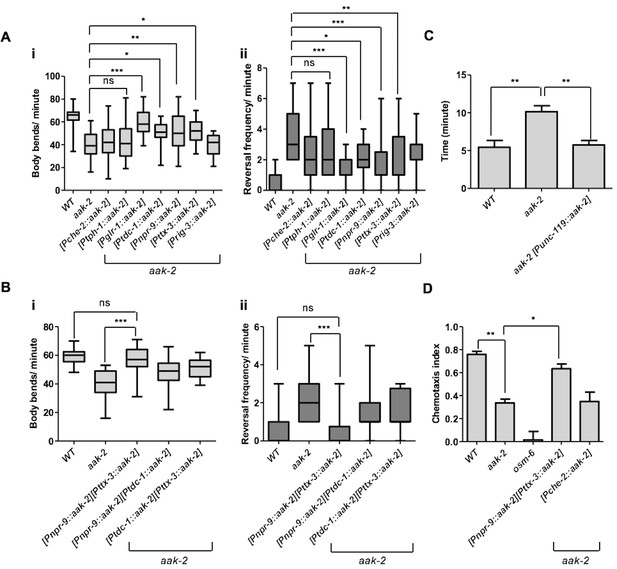 AMPK acts as a molecular trigger to coordinate glutamatergic signals ...