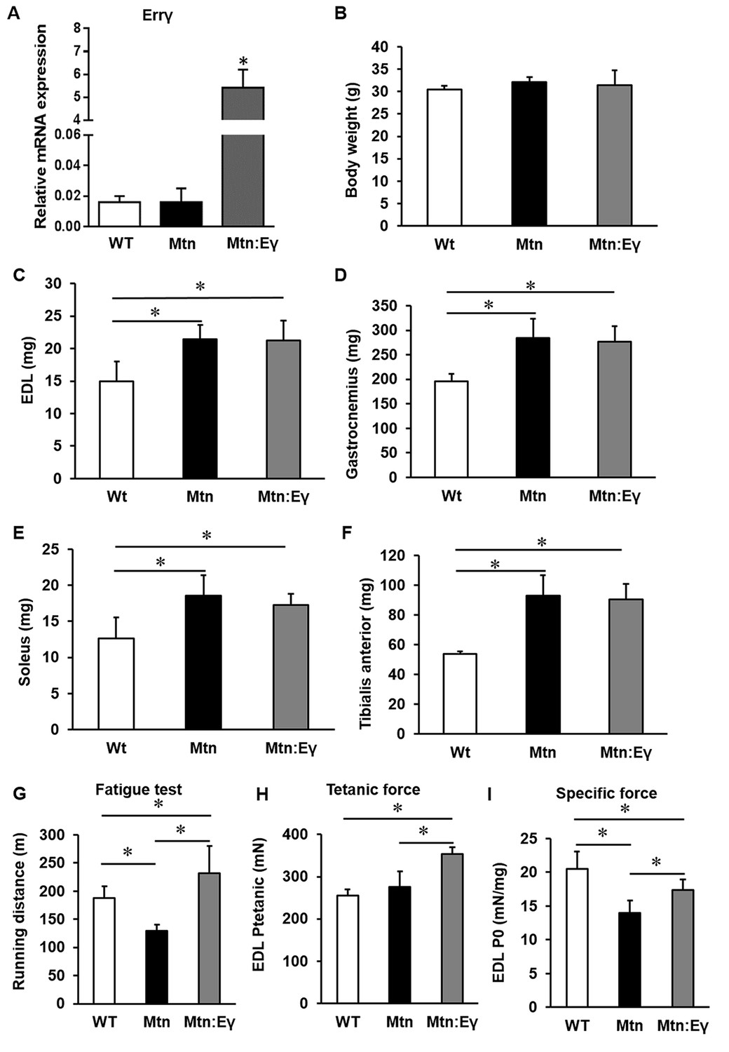 Enhanced exercise and regenerative capacity in a mouse model that 