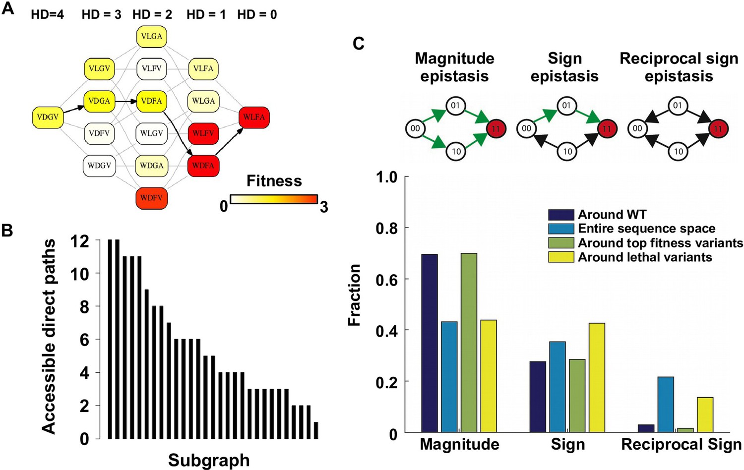 Figures And Data In Adaptation In Protein Fitness Landscapes Is