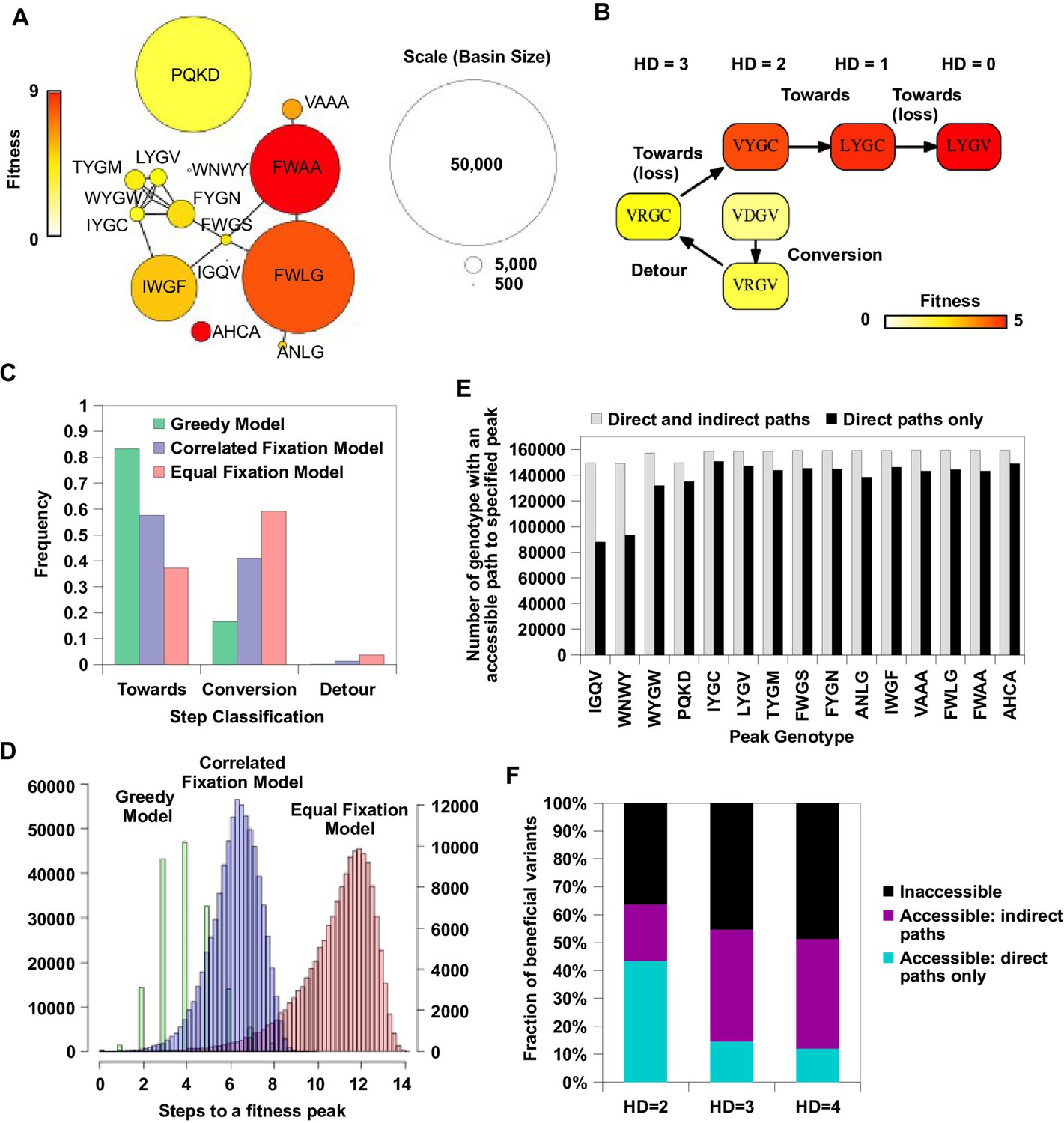 Figures And Data In Adaptation In Protein Fitness Landscapes Is