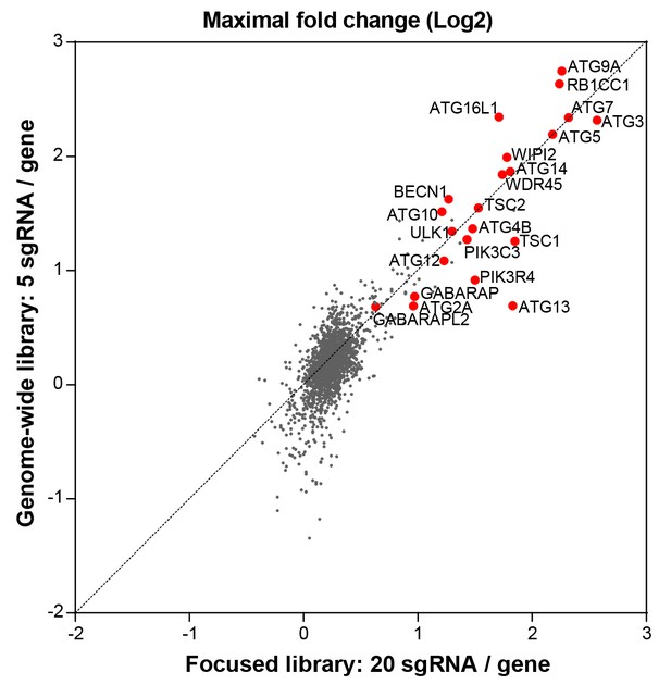 Figures and data in Functional CRISPR screening identifies the ...