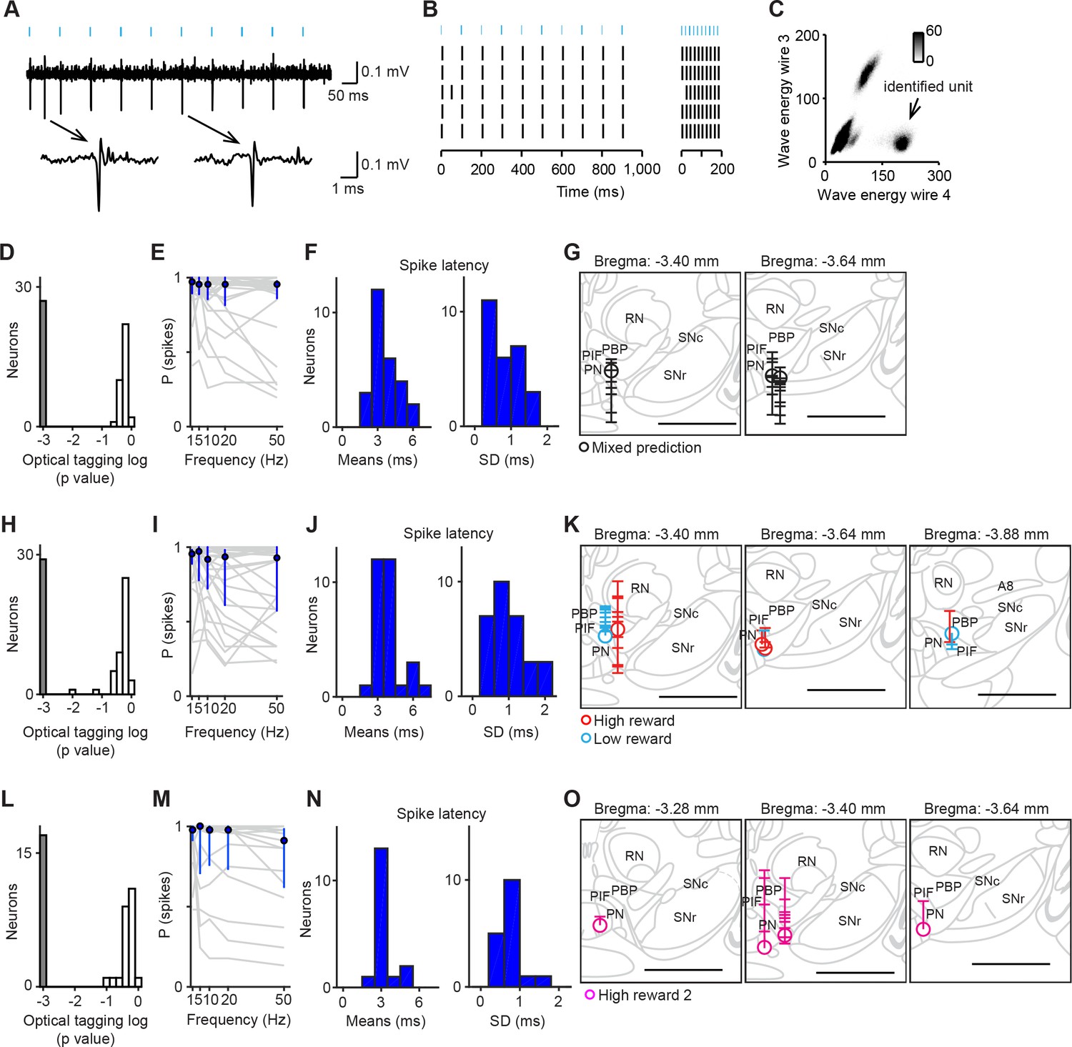 Midbrain dopamine neurons signal aversion in a reward-context