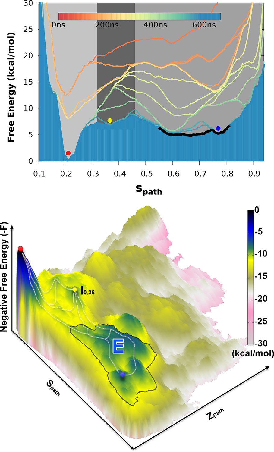 Mapping transiently formed and sparsely populated conformations on a 