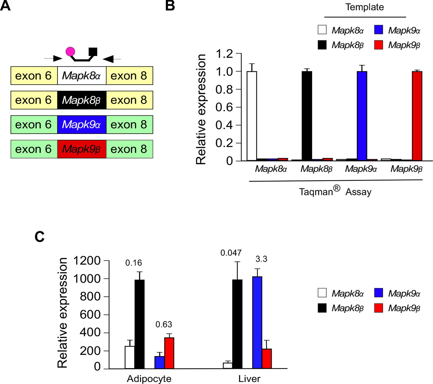 An alternative splicing program promotes adipose tissue