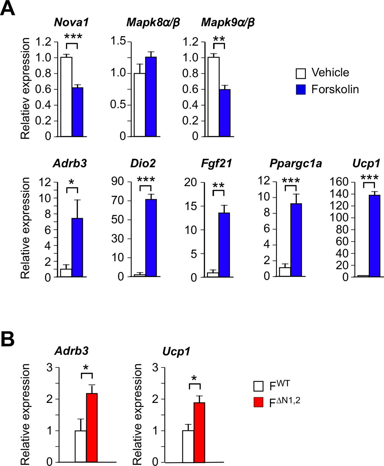 An alternative splicing program promotes adipose tissue