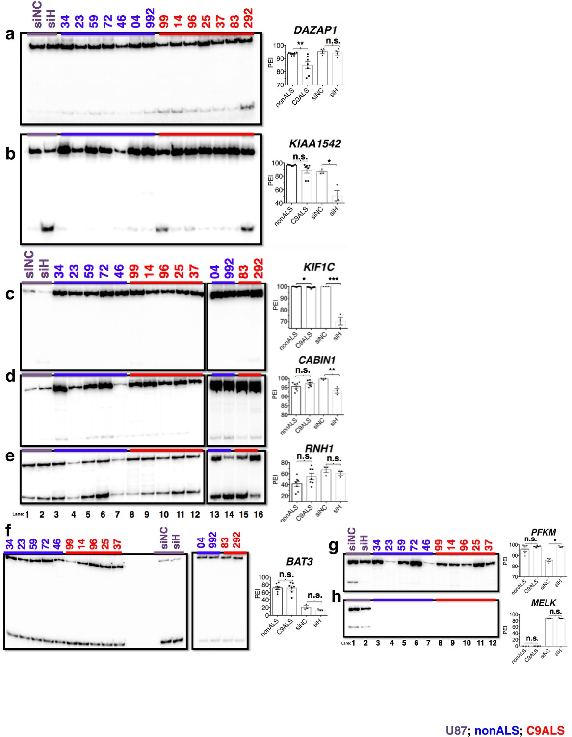 The C9ORF72 GGGGCC expansion forms RNA G-quadruplex inclusions and