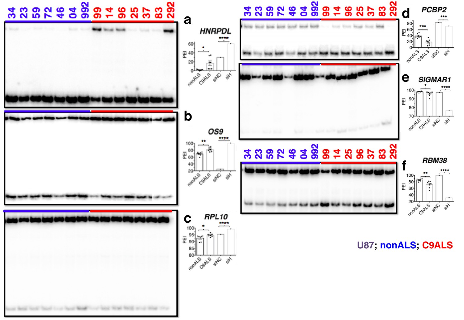 The C9ORF72 GGGGCC expansion forms RNA G-quadruplex inclusions and