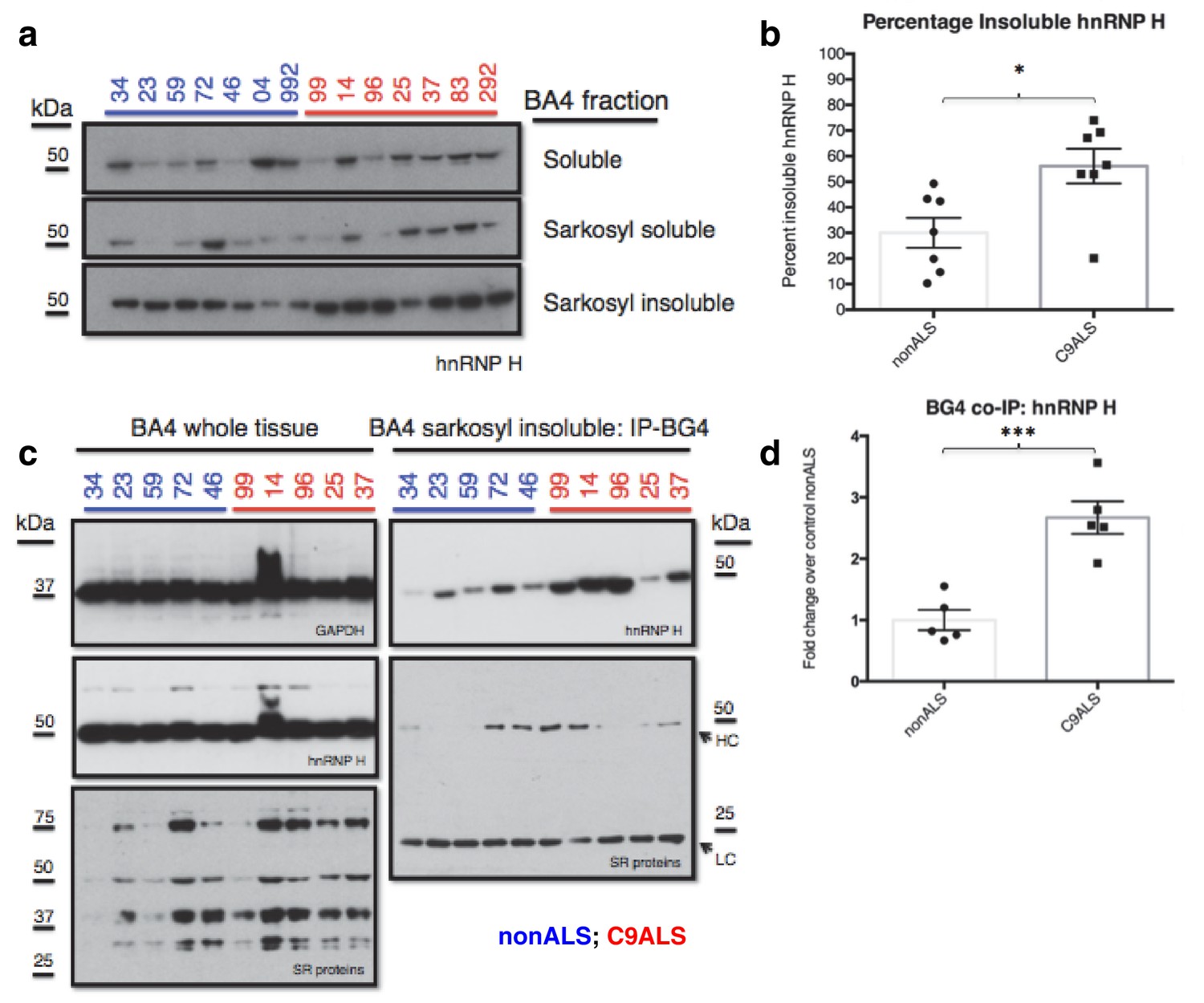 The C9ORF72 GGGGCC expansion forms RNA G-quadruplex