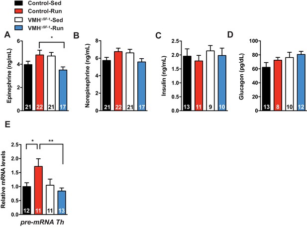 Figures and data in SF-1 expression in the hypothalamus is required for ...