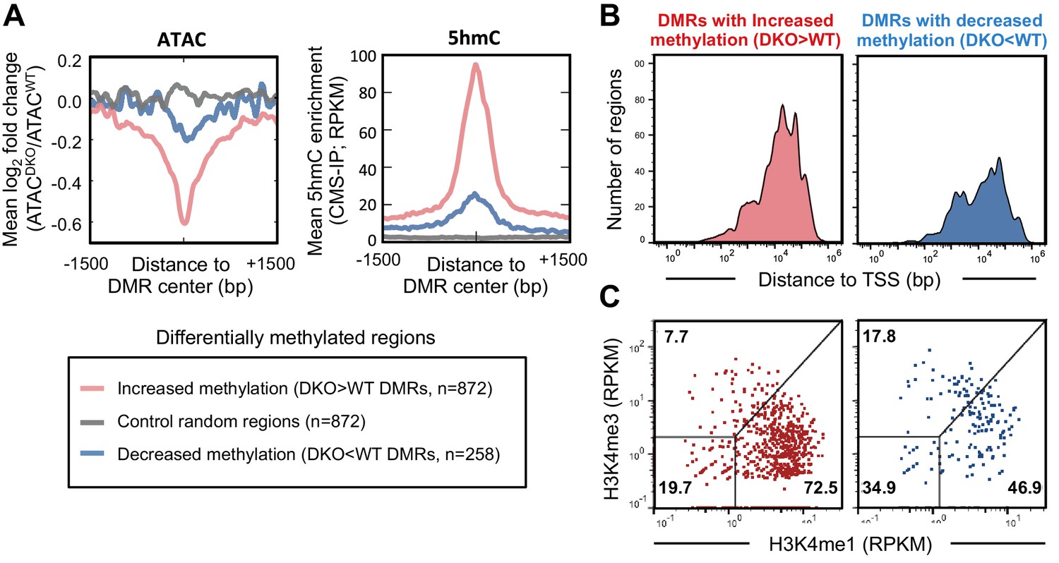 Figures And Data In Tet2 And Tet3 Cooperate With B-lineage 