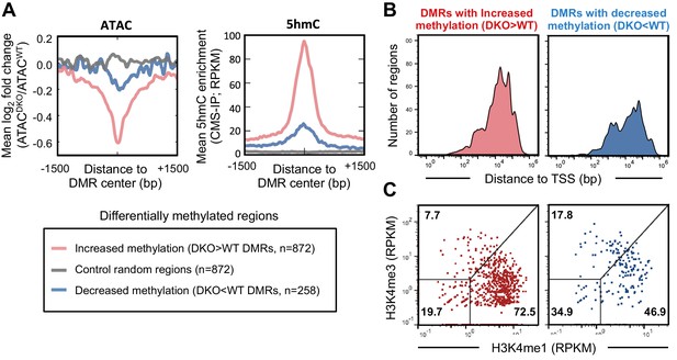 Figures and data in Tet2 and Tet3 cooperate with B-lineage ...