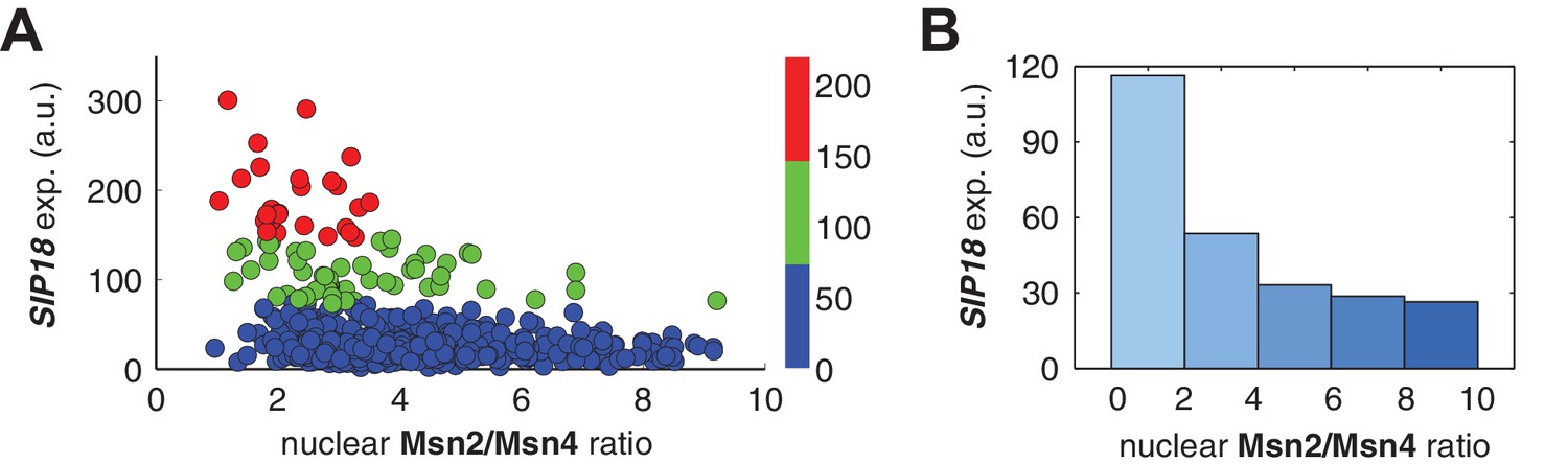 Figures and data in Dynamic control of gene regulatory logic by ...