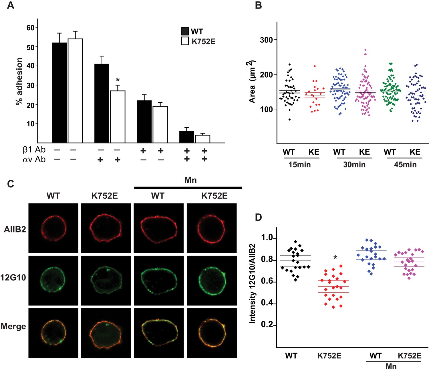 Figures and data in Implications of the differing roles of the β1 and ...