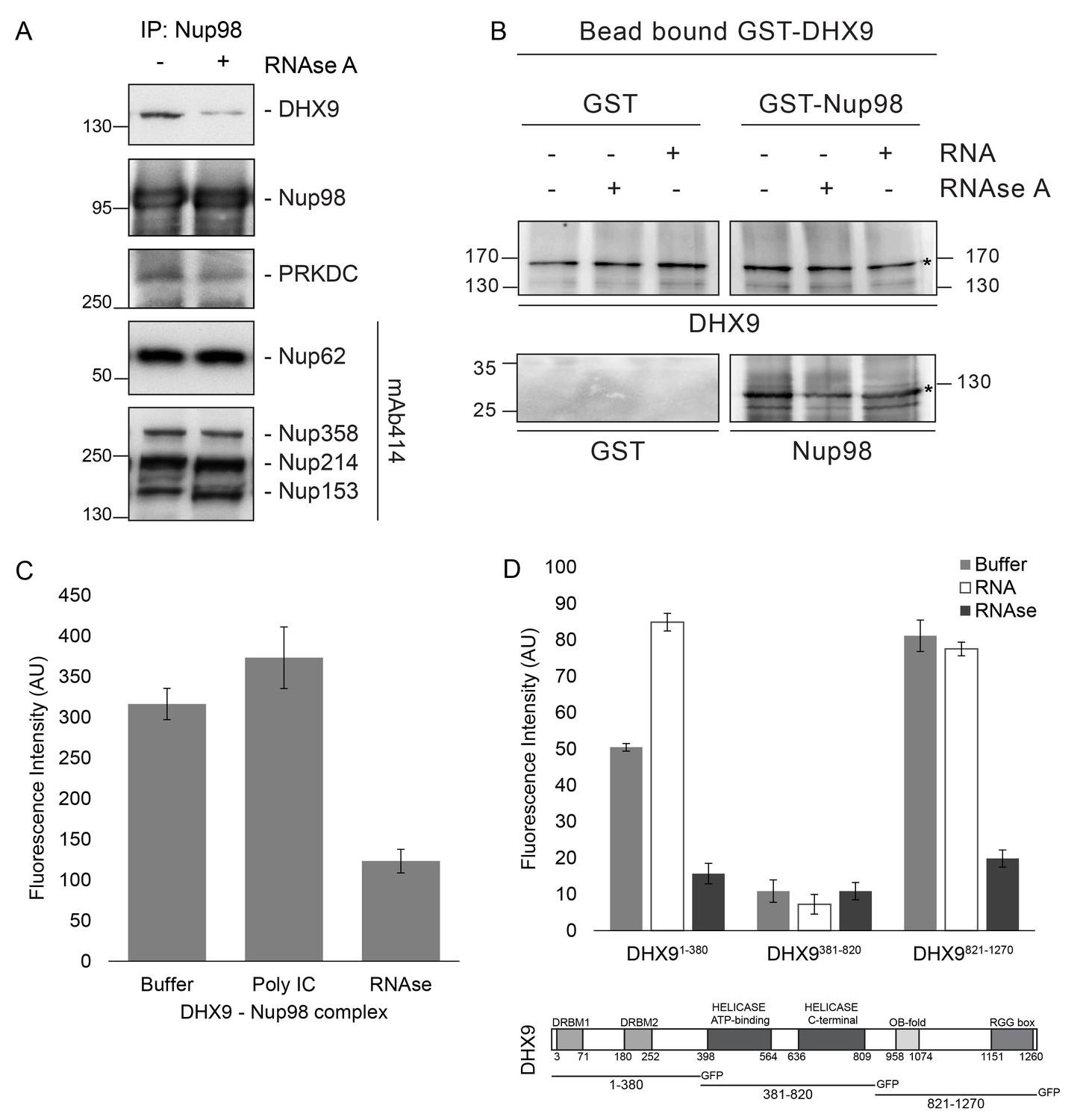 Integrated Structural Analysis of the Human Nuclear Pore