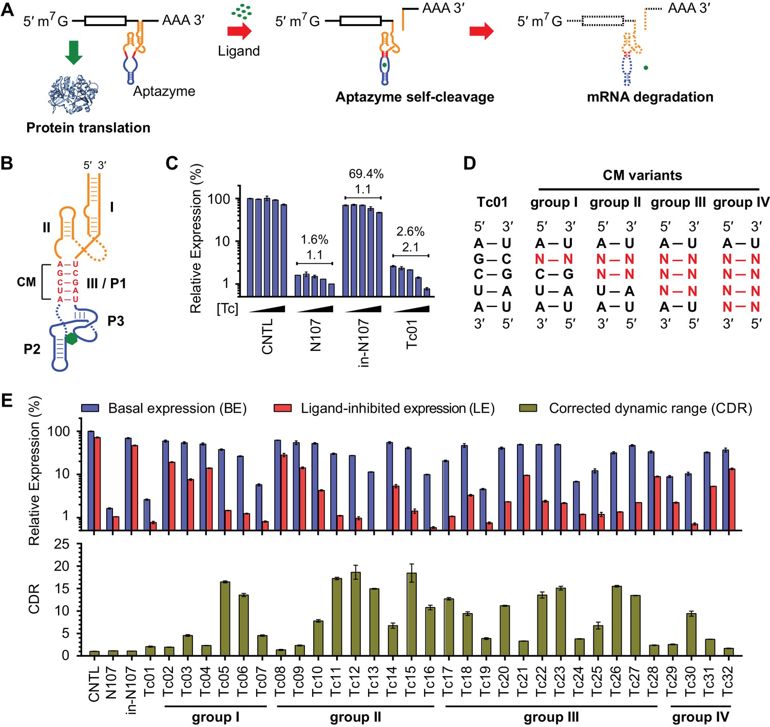 Rational Design Of Aptazyme Riboswitches For Efficient Control Of Gene ...