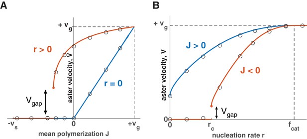 Figures and data in Physical basis of large microtubule aster growth ...