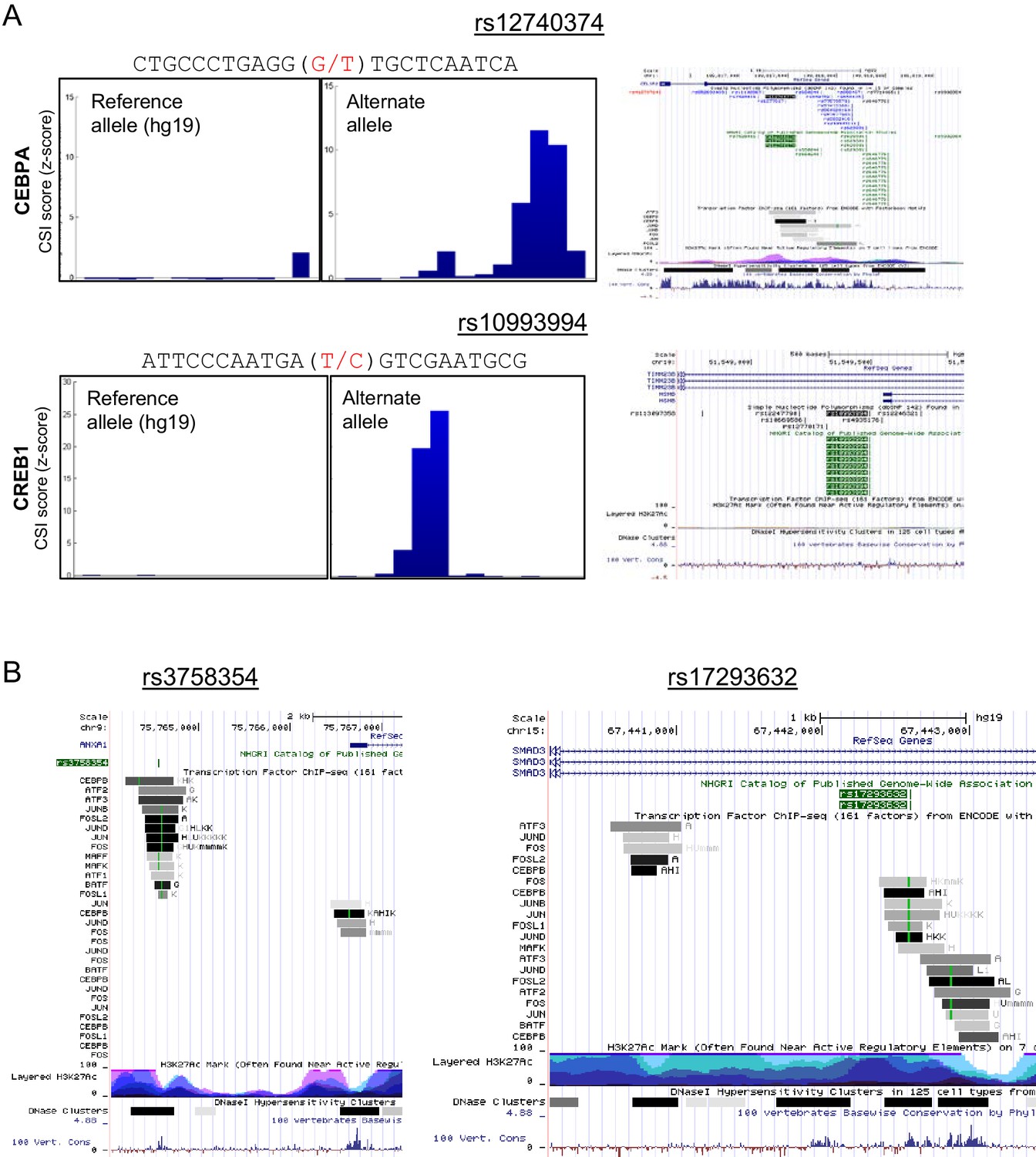 Figures And Data In Combinatorial BZIP Dimers Display Complex DNA