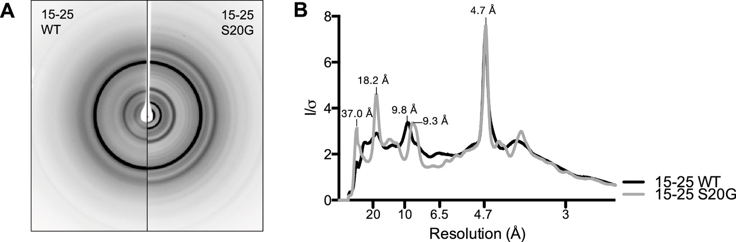 Figures and data in Atomic structures of fibrillar segments of hIAPP ...