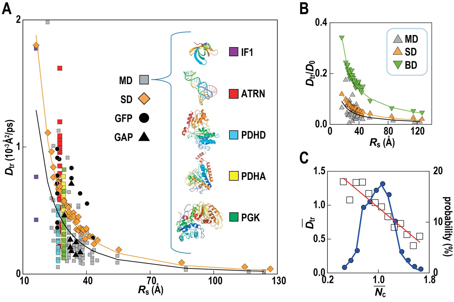 Biomolecular Interactions Modulate Macromolecular Structure And ...